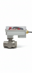 CP08D2J00200 ELEKTRİKLİ VANA AKTÜAÖTÖRÜ